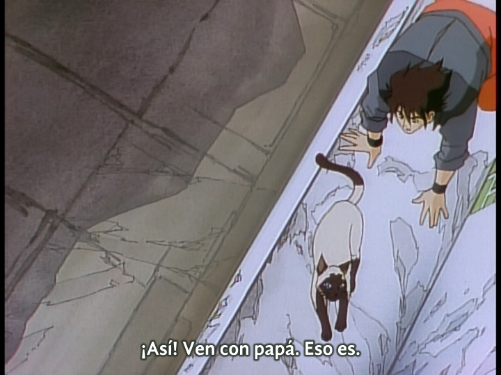 The Art Of Fighting (AkemiSubs)